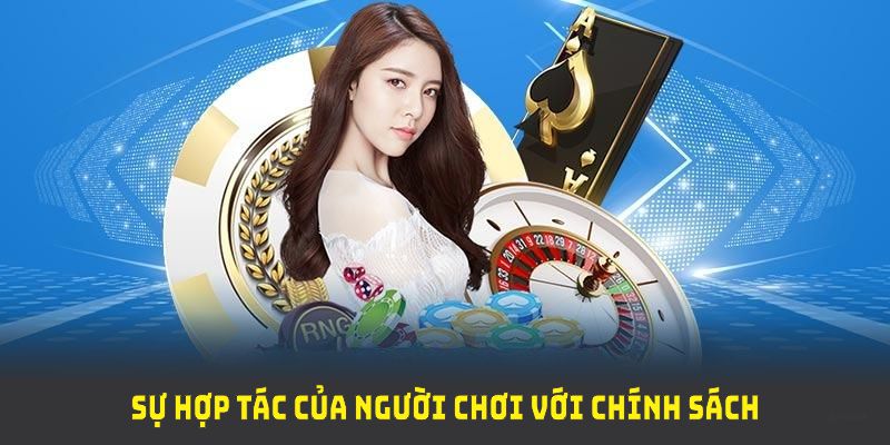 Sự hợp tác của người chơi với chính sách