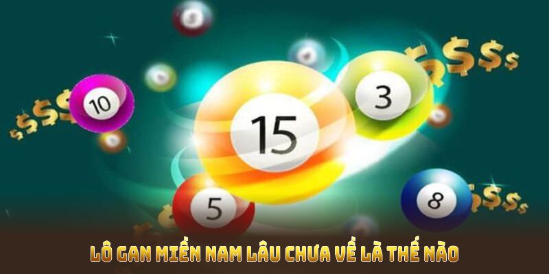 Lô gan miền nam lâu chưa về là như thế nào