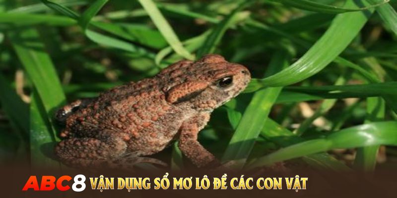 Áp dụng sổ mơ lô đề con vật để mang lại hiệu quả